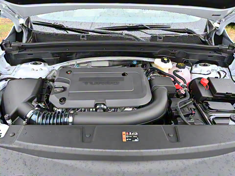 2025�� ������Plus ����Avenir��ά��