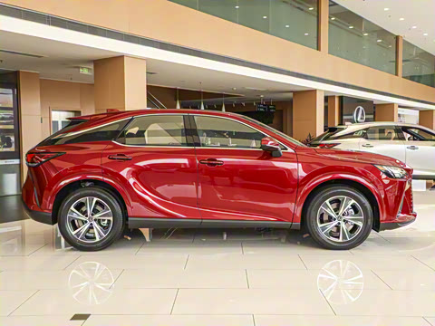 2025�� 300 ����������