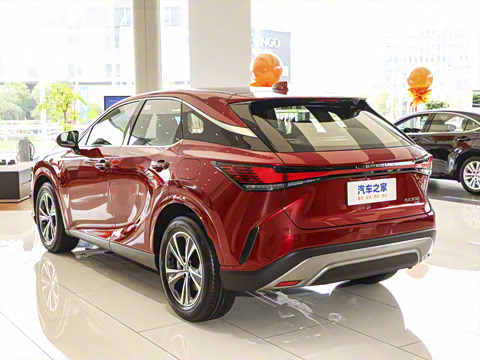 2025�� 300 ����������