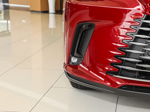 2025�� 300 ����������