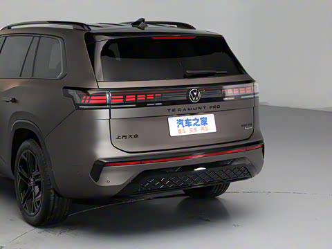 2025�� ;�� Pro 450TSI �����Ƿ��