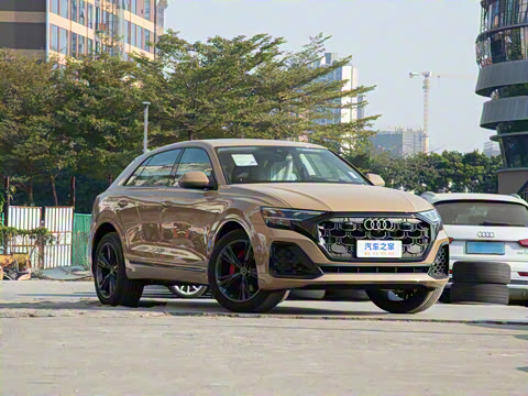 2024�� 55 TFSI ����������