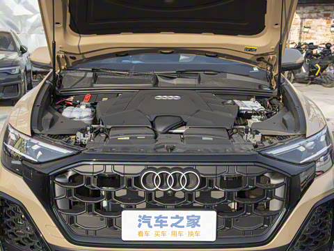 2024�� 55 TFSI ����������