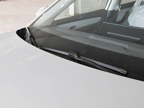 2025�� 445km ���ð�