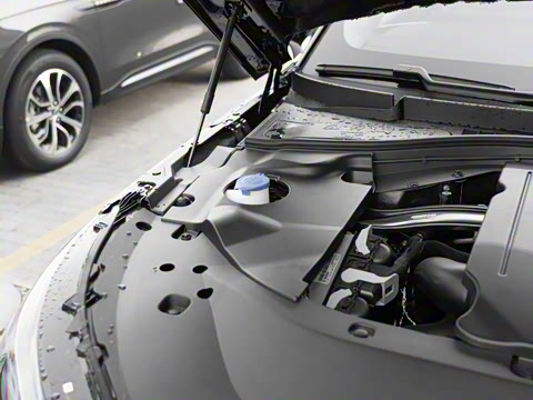 2024�� 3.0T V6 �������Ű� ����