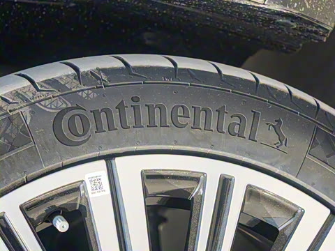 2025�� 180 ��������Max���� 7��