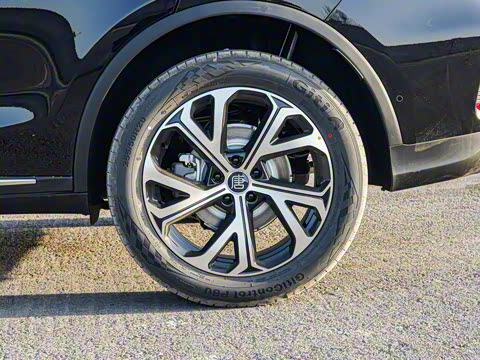 2025�� �Ǽݰ� DM-i 115KM �콢��