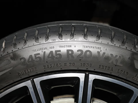 2025�� ������