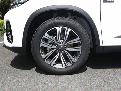 2025�� 290TGDI �Զ����а� 5��