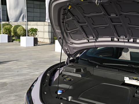 2025�� 600 �������� Max