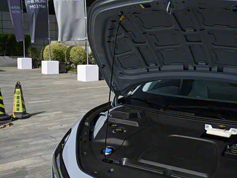 2025�� 502 ������ Max