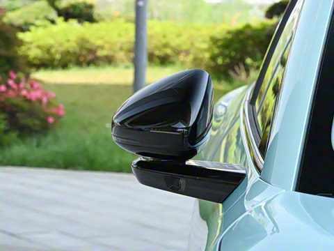 2025�� 600 �������� Max