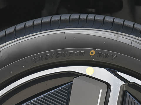 2024�� ������