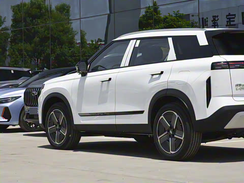 2024�� ������