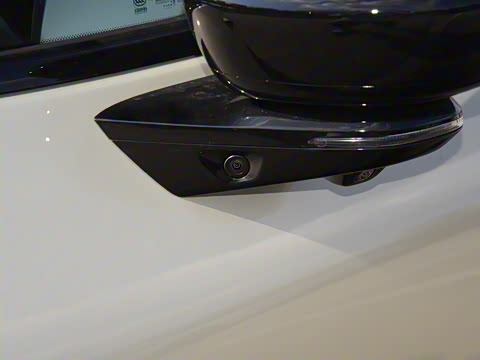 2025�� �������� Max �콢��