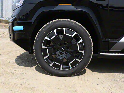 2025�� ���º����� 6��