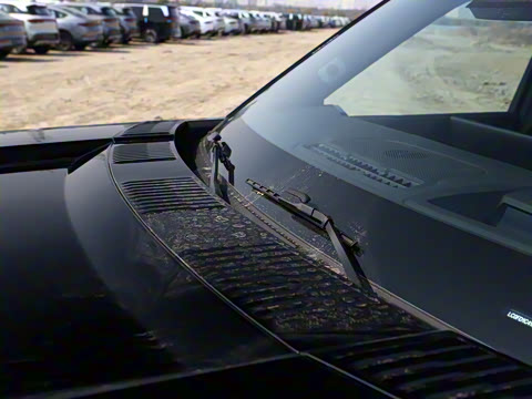 2025�� ���º����� 6��