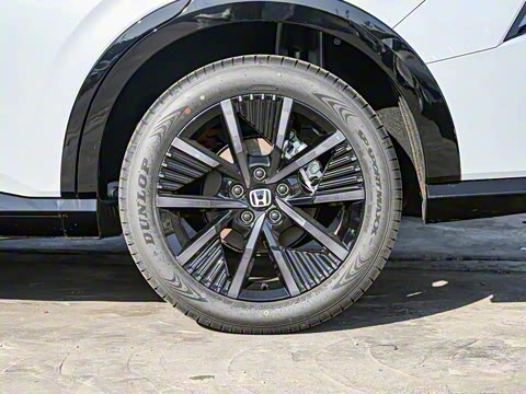 2024�� ����