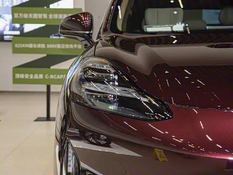 2025�� 825 Max��