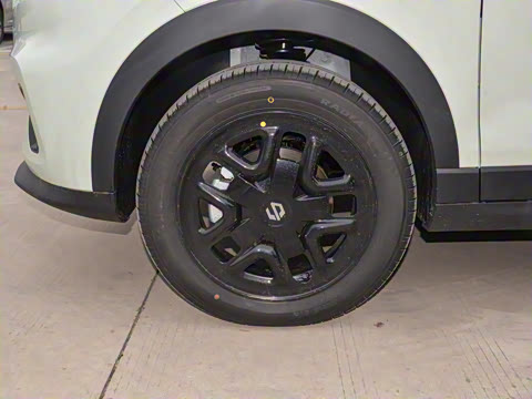 2025�� 310������