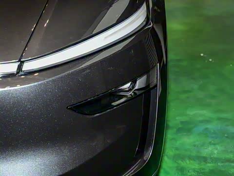 2025�� ����������