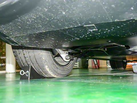 2025�� ����������