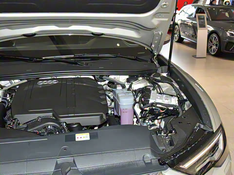 2025�� 45 TFSI ��ѡ������