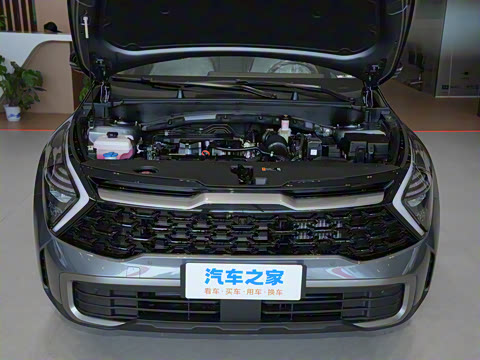 2025�� 1.5T �������������