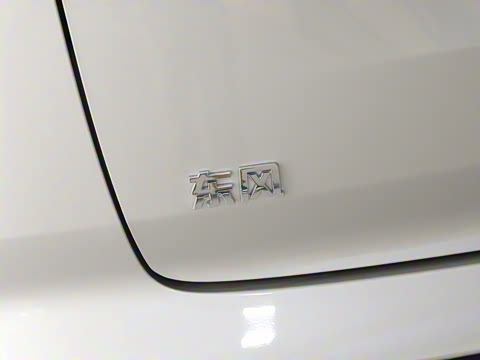 2025�� 636Max���Ȱ� 5��