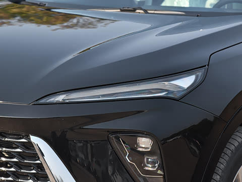 2025�� ������Plus ����Avenir��ά��