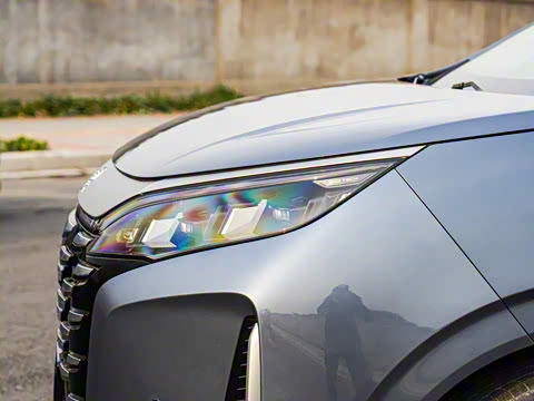 2025�� DM-i 1.5T 100km ��Խ��