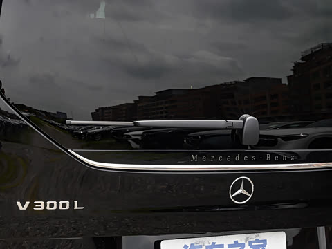 2025�� V 300 L ����������