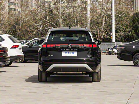 2025�� ;�� Pro 450TSI ����̽����