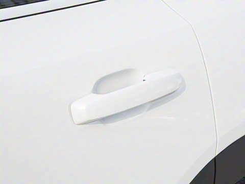 2024�� 1.5T ħ�˵�����׼��