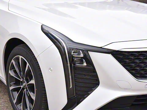 2025�� 28T �����˶���