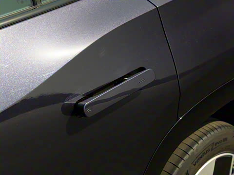 2025�� ;�� Pro 450TSI �����ݺ��