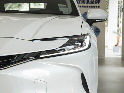 2024�� ˫�� 2.0HGVP ������