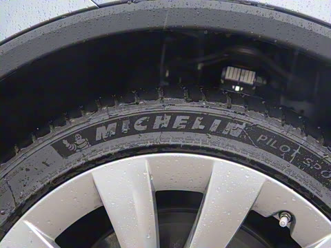 2025�� ����������