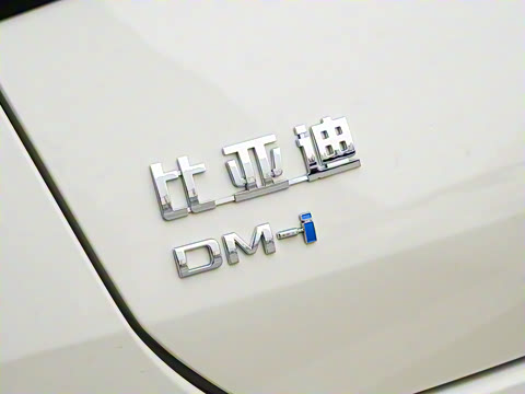 2025�� �Ǽݰ� DM-i 1.5L 125km ��Ӣ��