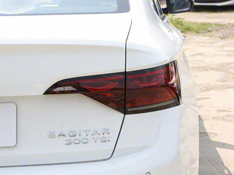 2025�� �Ŀ�� 300TSI DSG��Խ��