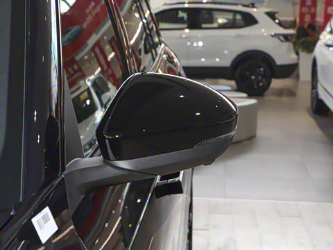 2025�� ;�� Pro 450TSI �����Ƿ��