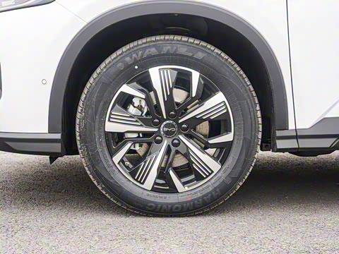 2025�� DM-i �Ǽݰ� 115KM������