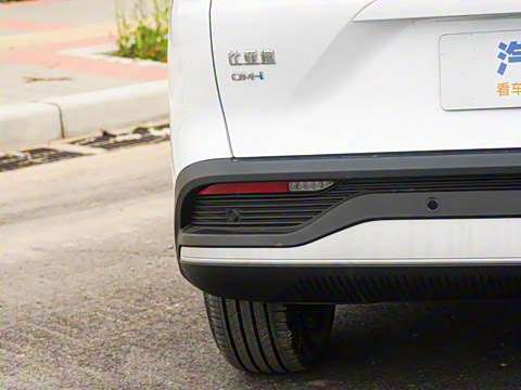 2025�� DM-i �Ǽݰ� 115KM������