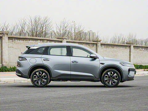 2025�� DM-i �Ǽݰ� 75KM�����