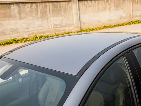 2025�� DM-i �Ǽݰ� 55KM������