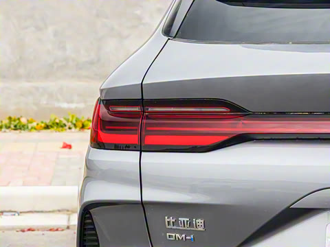 2025�� DM-i �Ǽݰ� 112KM �����