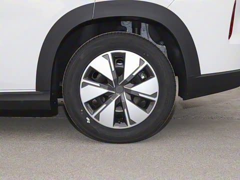 2024�� 605km �Ƹ���