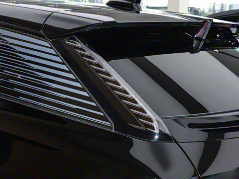 2024�� ������������