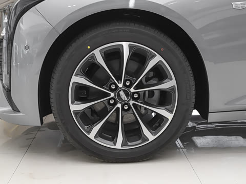 2025�� 28T �����˶���