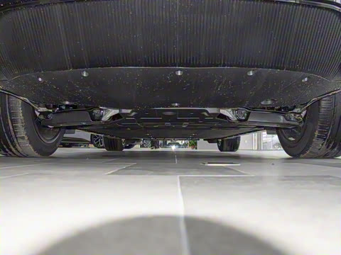 2025�� Max �����